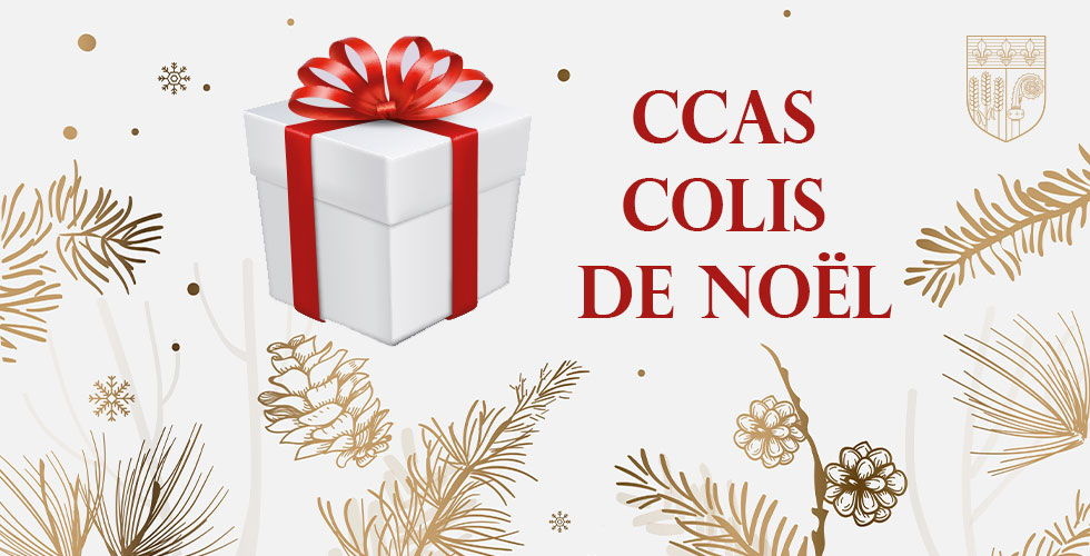 CCAS COLIS DE NOEL